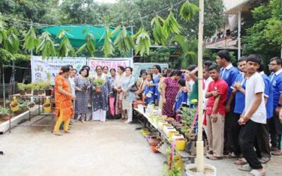 Nursery Unit in Vocational Training